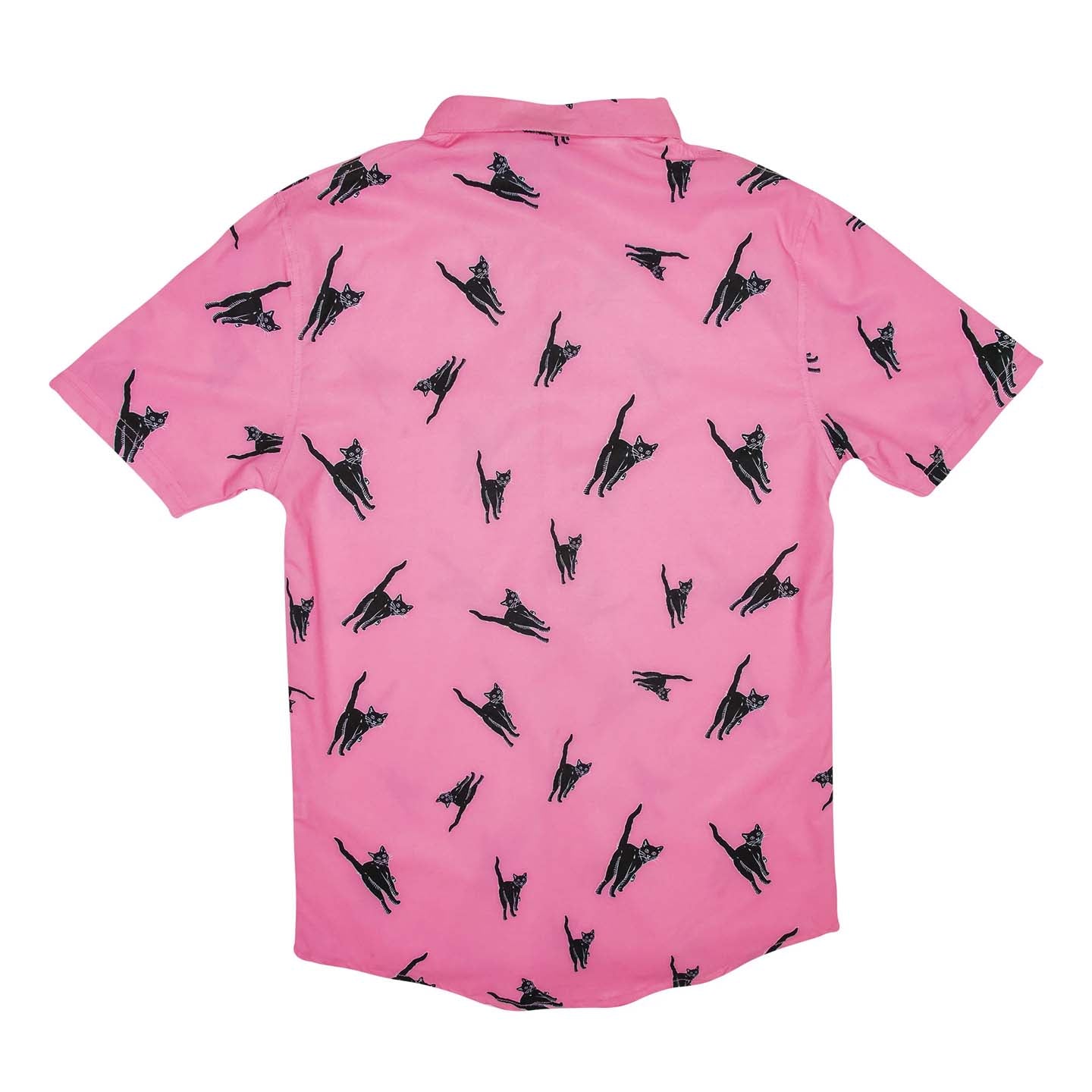 B Fresh Gear Sassy Cat 4-Way Stretch Shirt